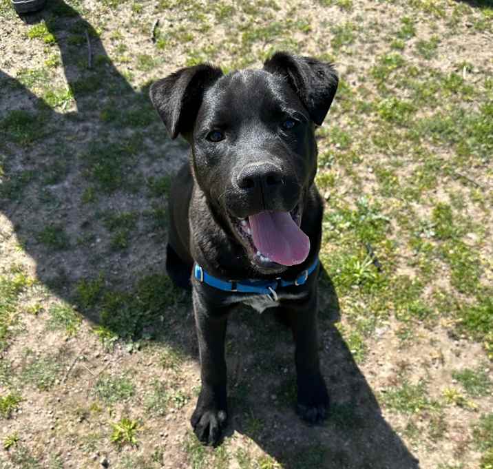 Photo of Billy