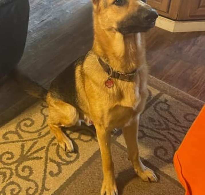 Photo of Apollo