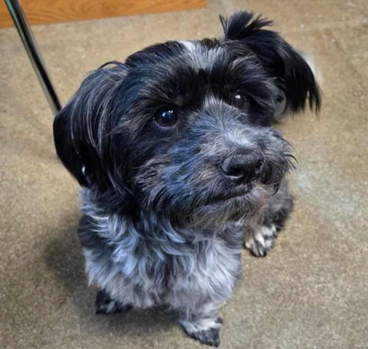 Photo of Timmy