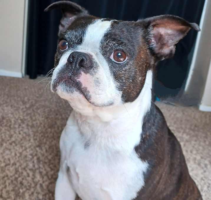 Photo of Tessa
