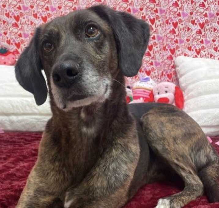 Photo of Tilly