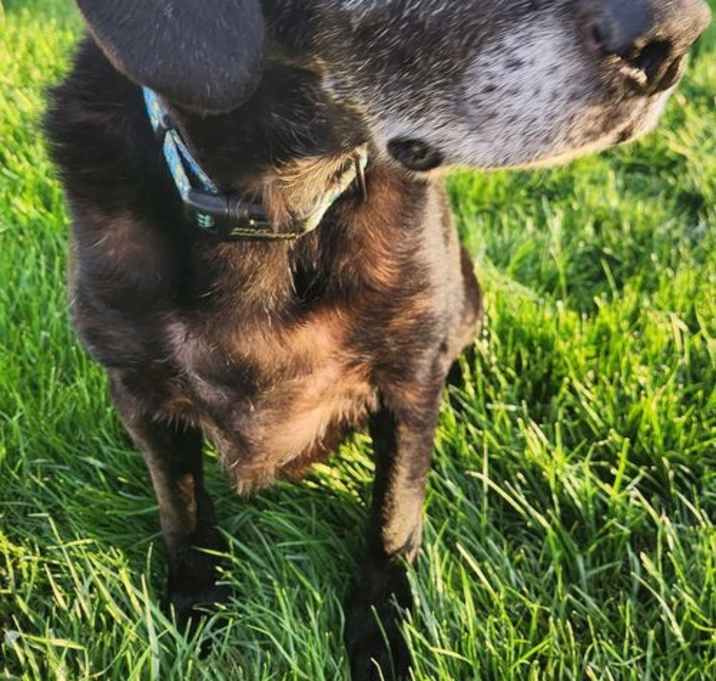 Photo of Miracle Max