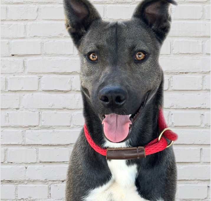 Photo of Mia
