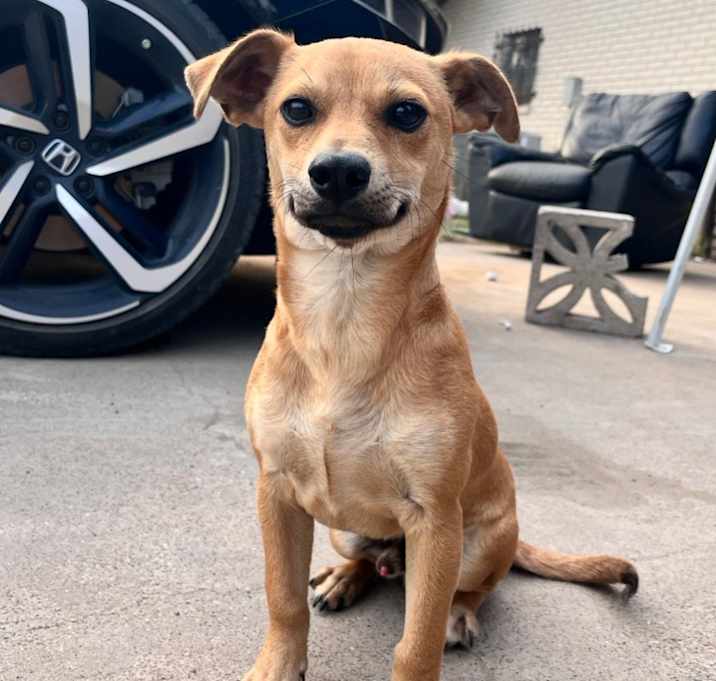 Photo of Churro