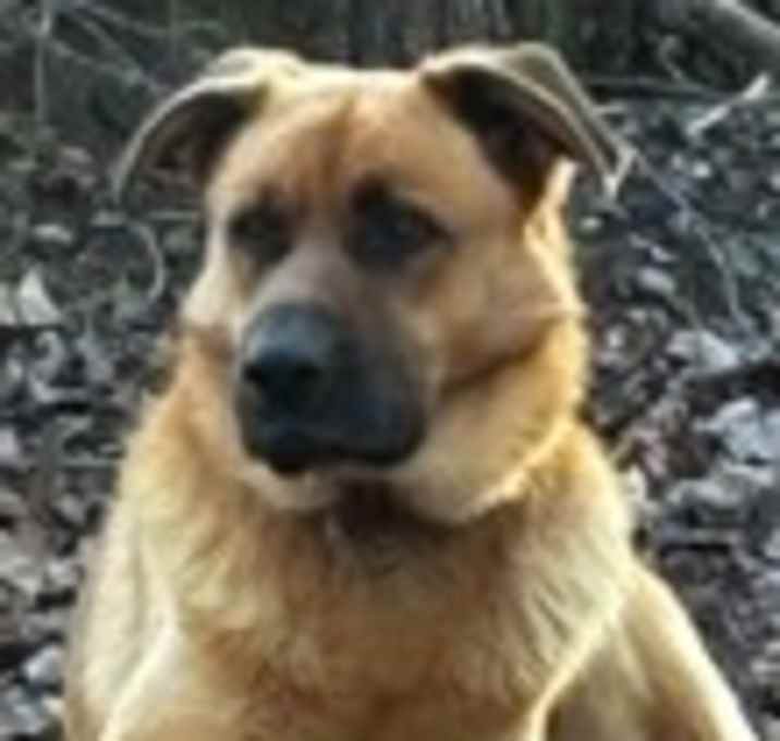Photo of Chase