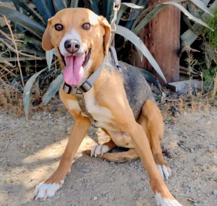 Photo of Eddy