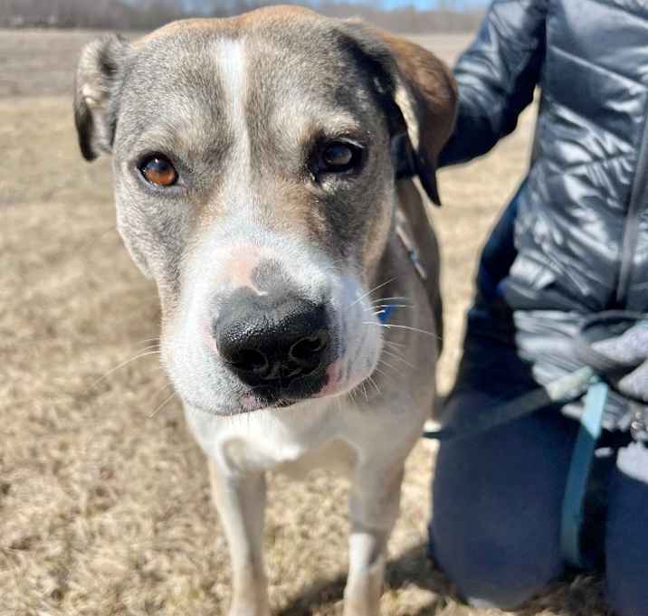 Photo of Hazel
