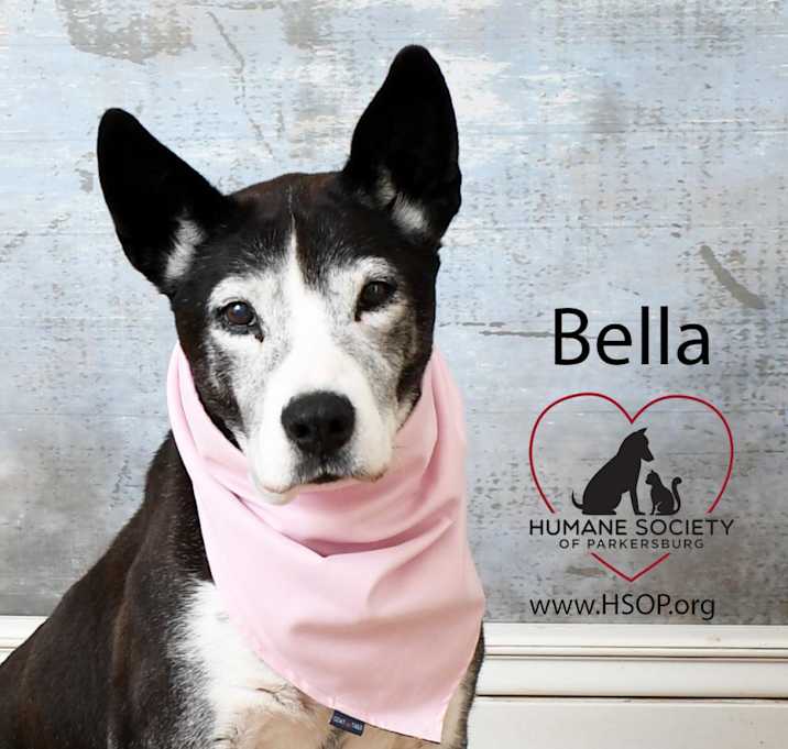 Photo of Bella