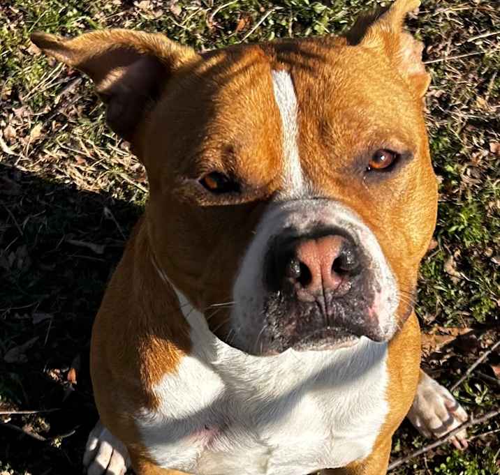 Photo of Gus
