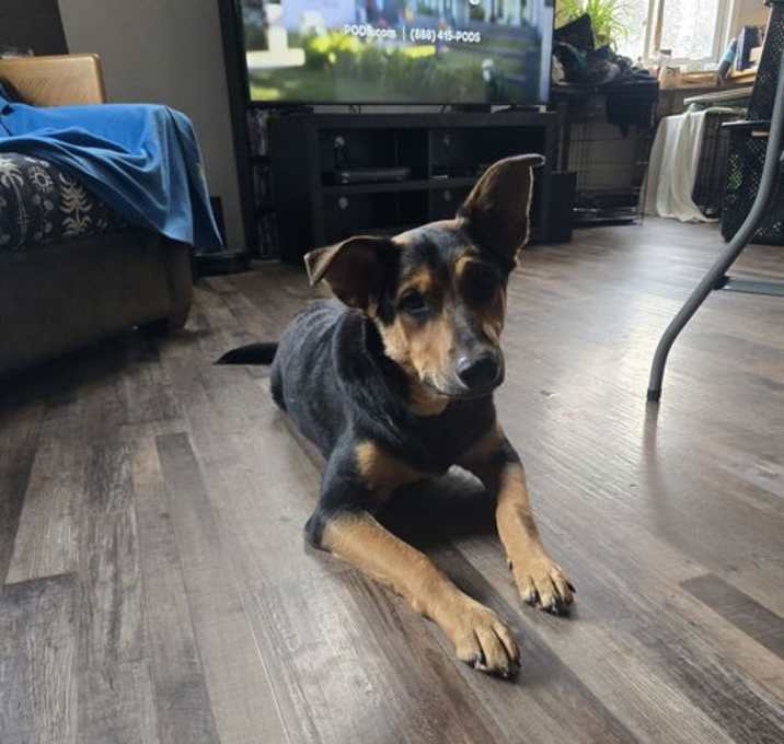 Photo of Buddy