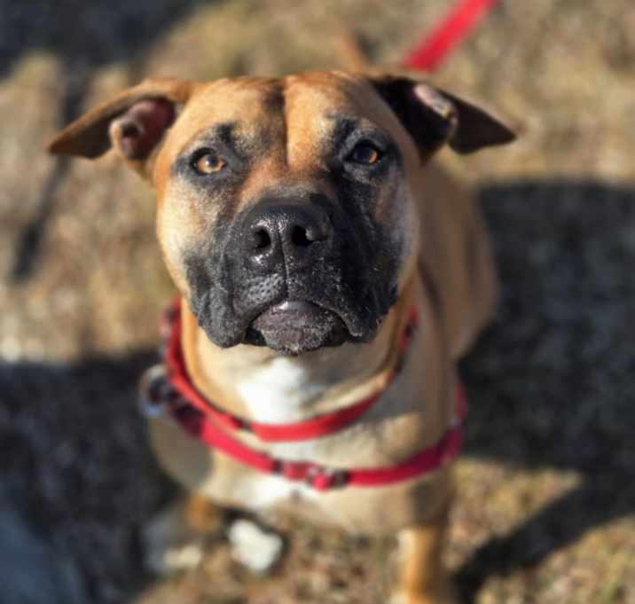 Photo of Nettie
