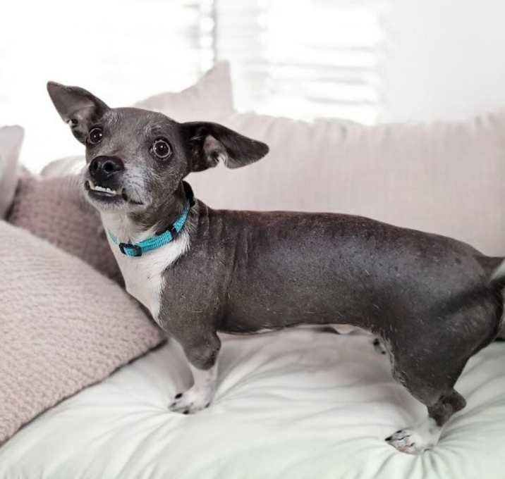 Photo of Ralph