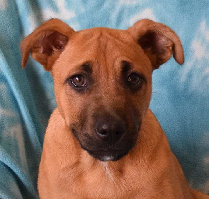 Photo of Tanner