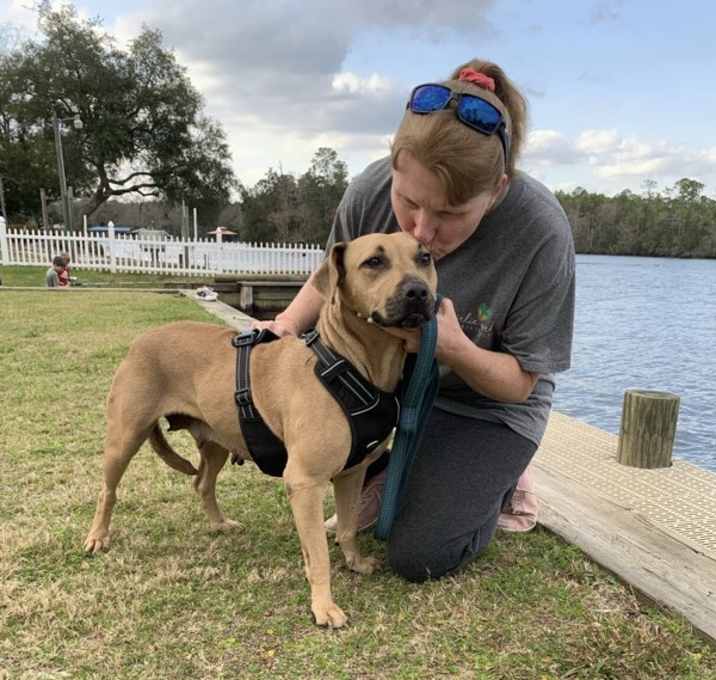 Photo of Scooter (Nora)