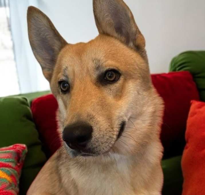 Photo of Heidi