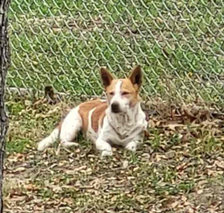 Photo of POLO