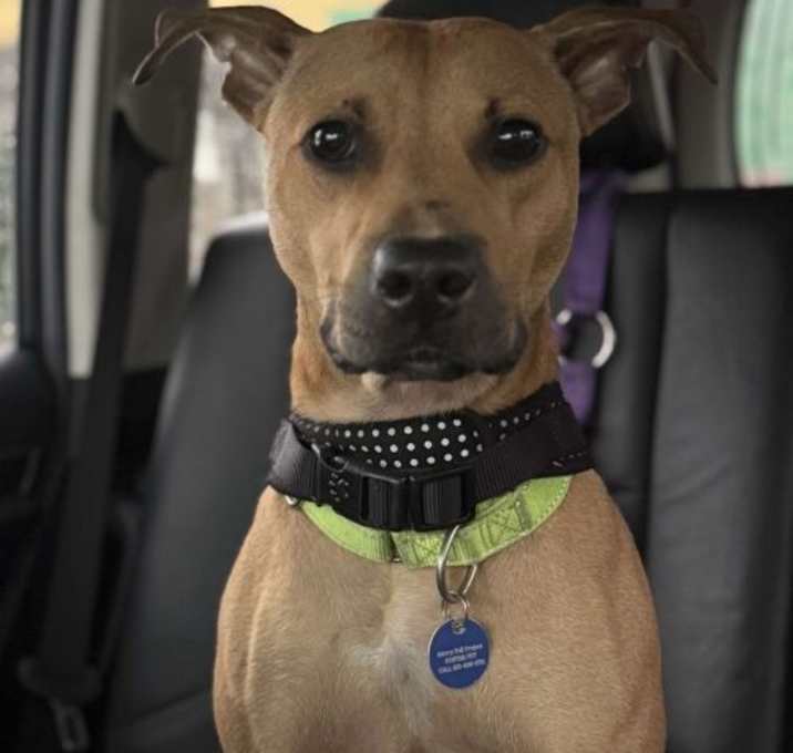 Photo of Ellie