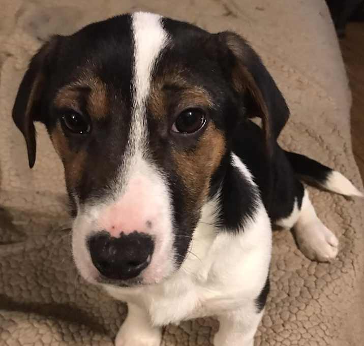 Photo of Cali