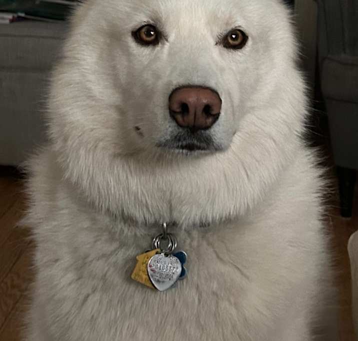 Photo of Frosty