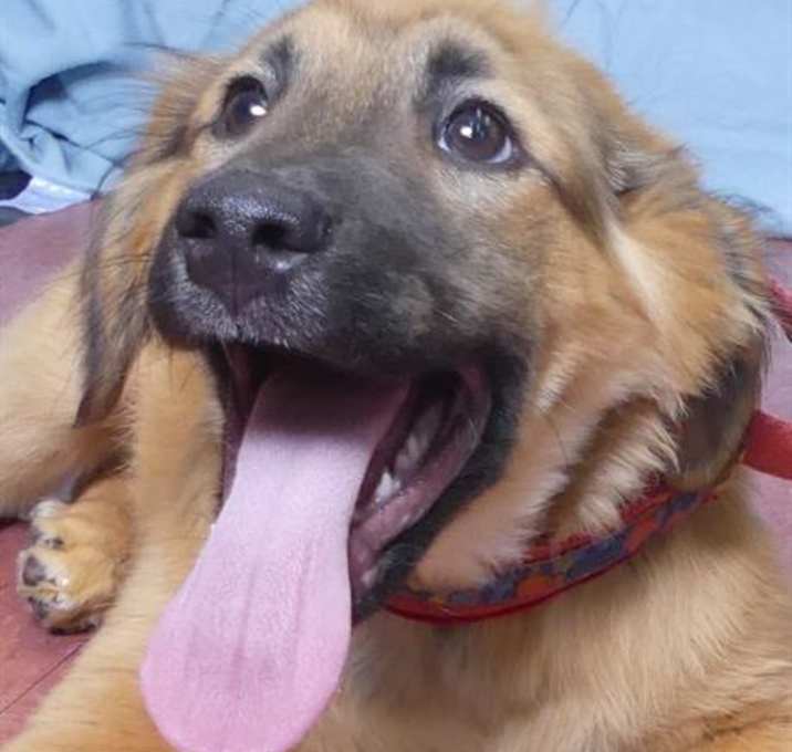 Photo of KIWI