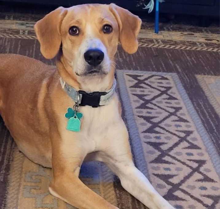 Photo of Athena