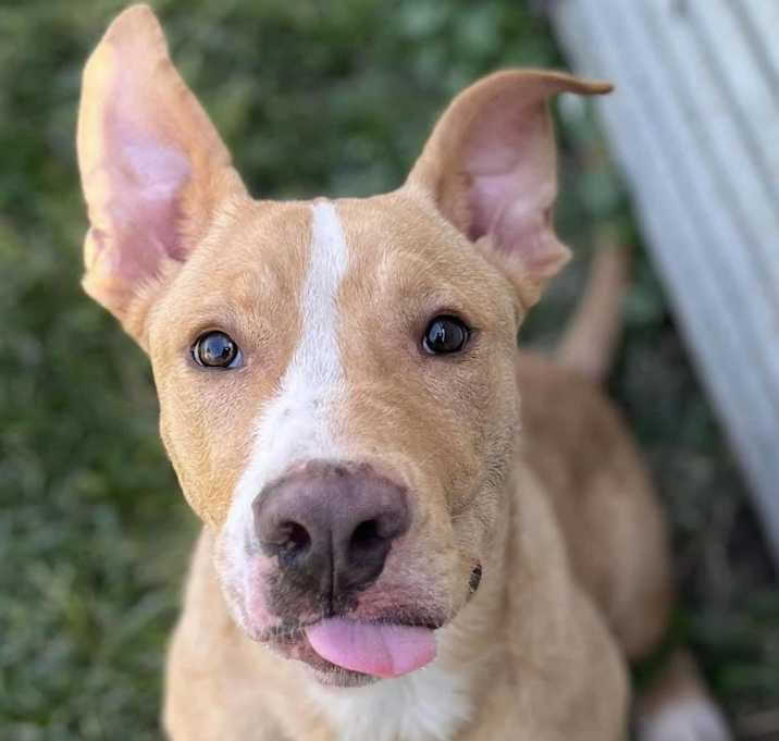 Photo of Wyatt