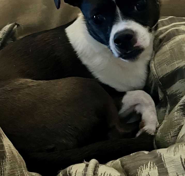 Photo of TESS