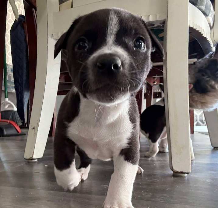 Photo of Ellie