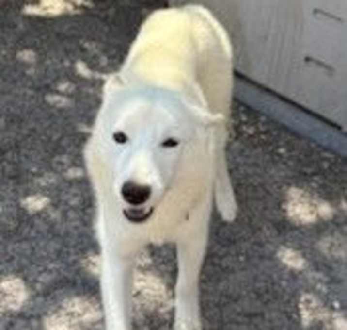 Photo of Riley