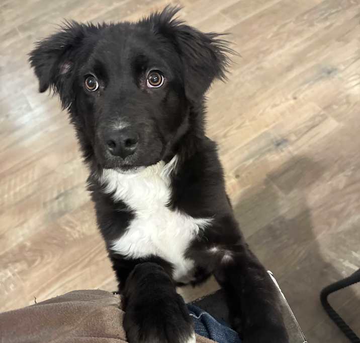 Photo of Tator