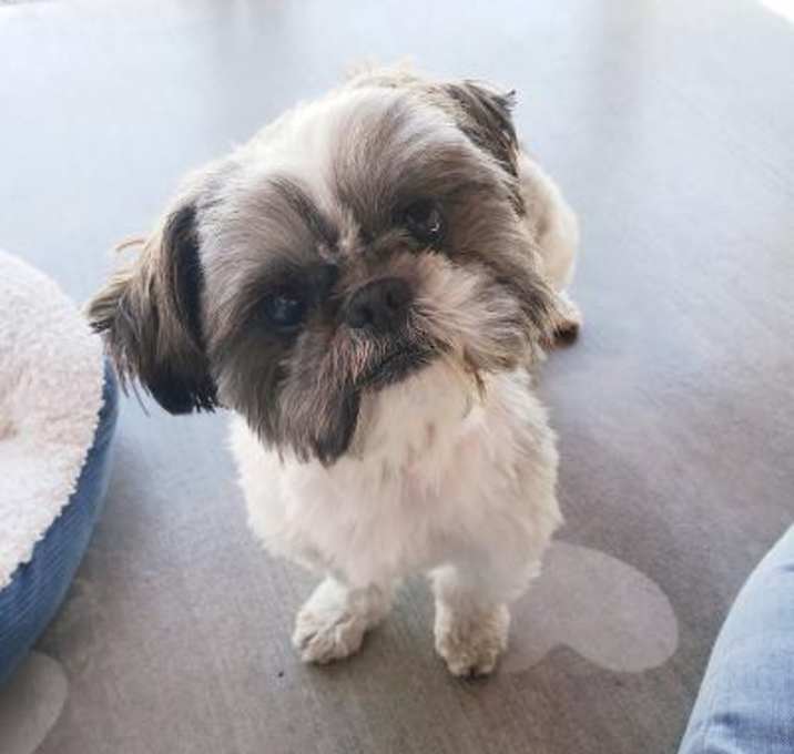 Photo of Ethan