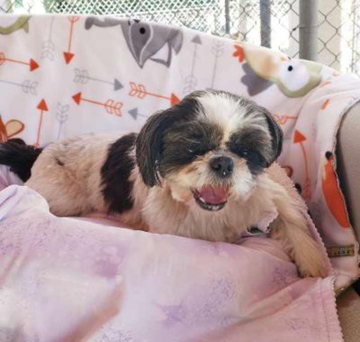 Photo of Brenda