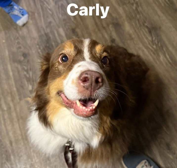 Photo of Carly