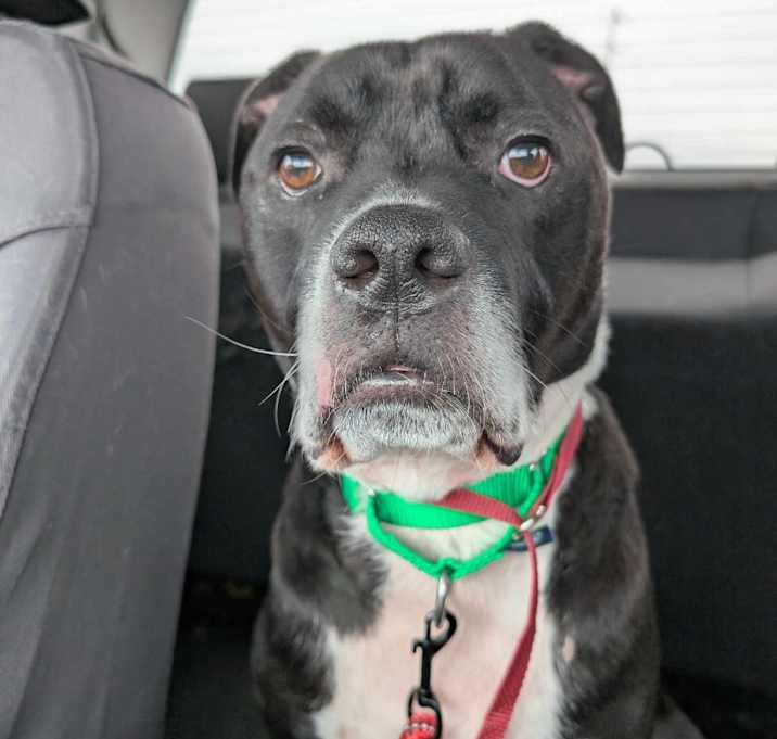 Photo of Tater
