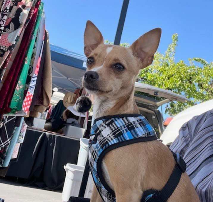 Photo of Chuck