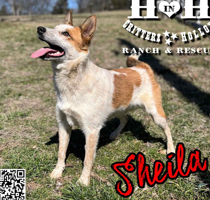 Photo of Sheila