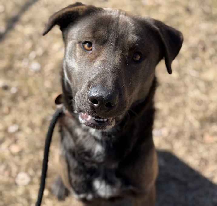 Photo of Bruno