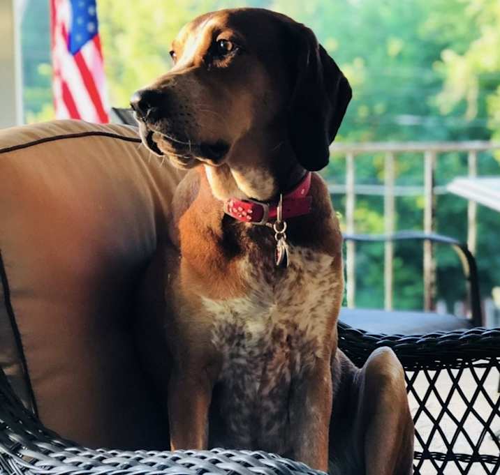 Photo of Daisey