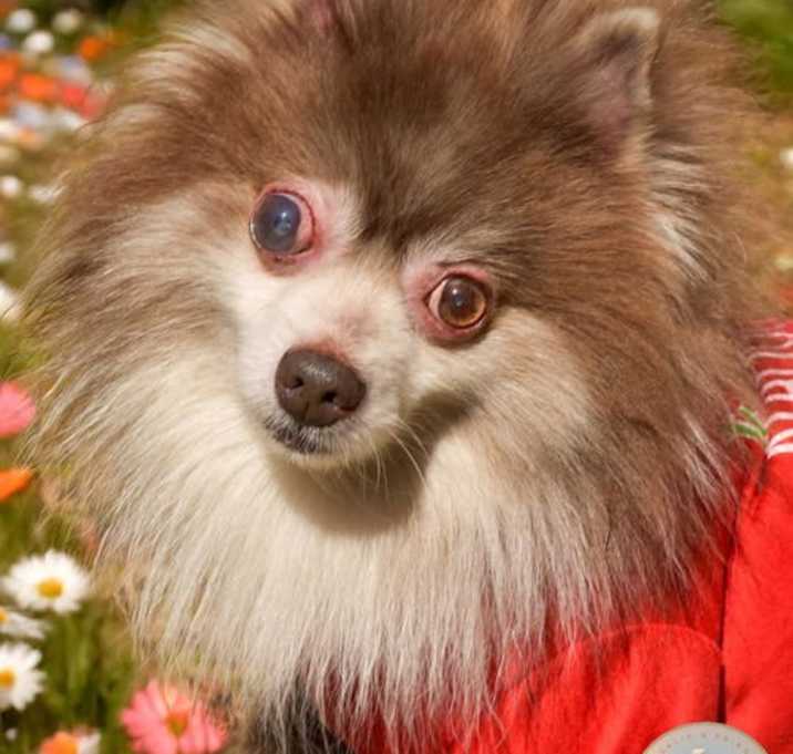Photo of Mr. Belvedere