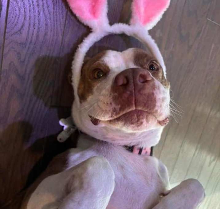 Photo of Flo