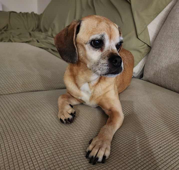 Photo of Kiko