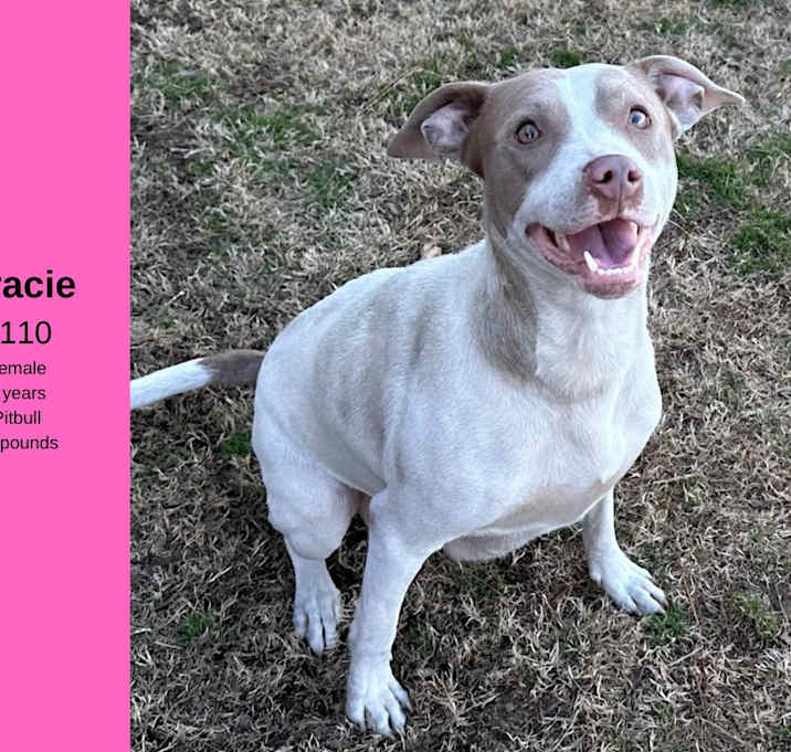Photo of Gracie