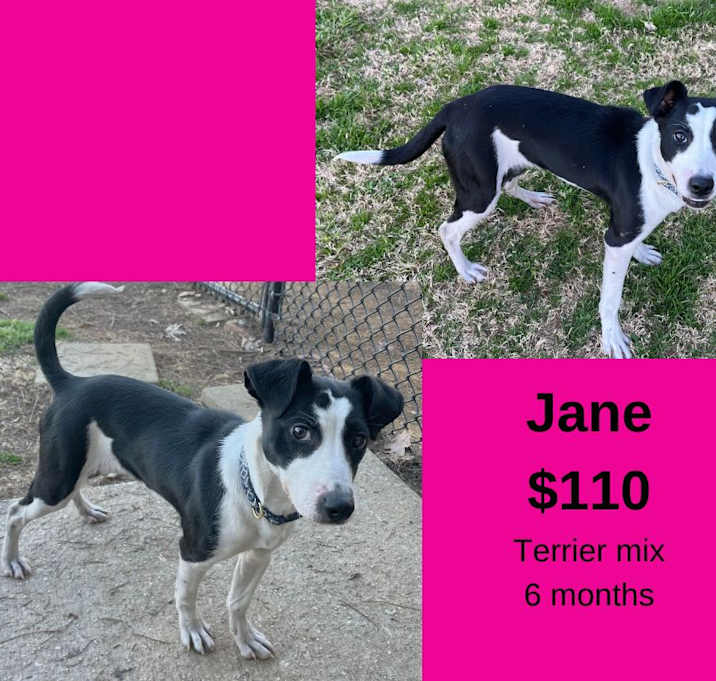 Photo of Jane