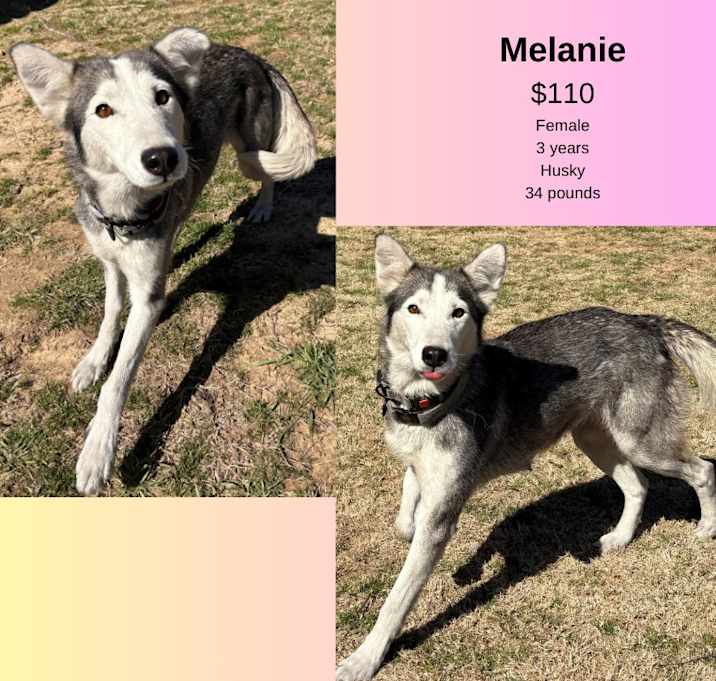 Photo of Melanie