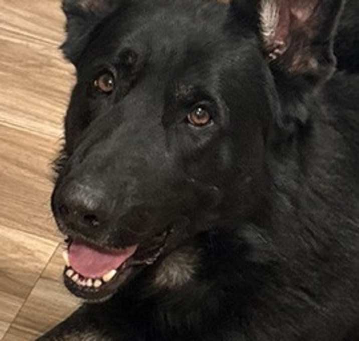 Photo of Klaus