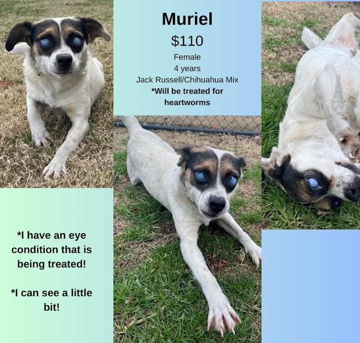 Photo of Muriel