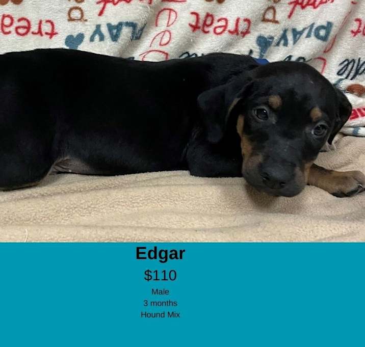 Photo of Edgar