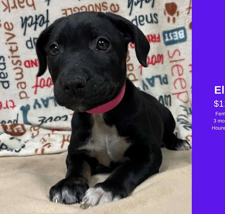 Photo of Ella