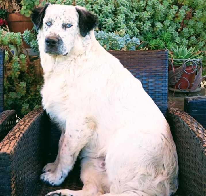 Photo of Miklo