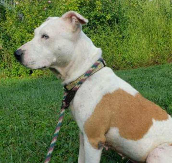 Photo of Sprinkles